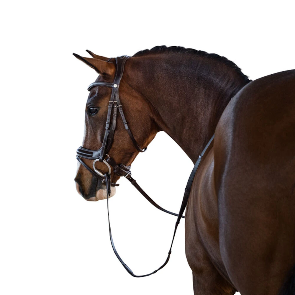 LARA TWEEDIE Connection Bridle