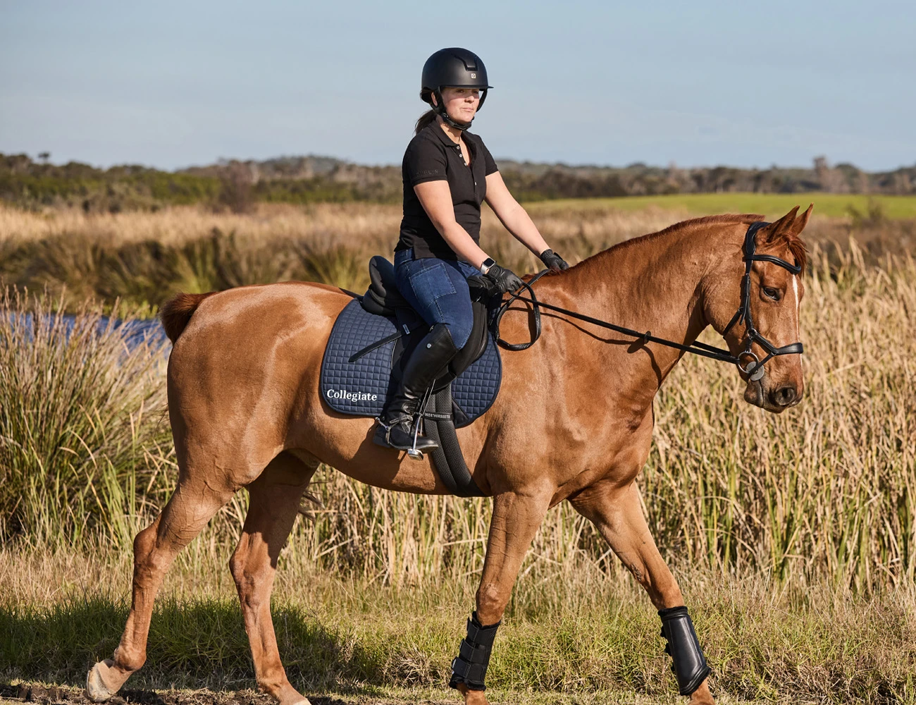 COLLEGIATE Syntovia+ Osberton All Purpose Saddle