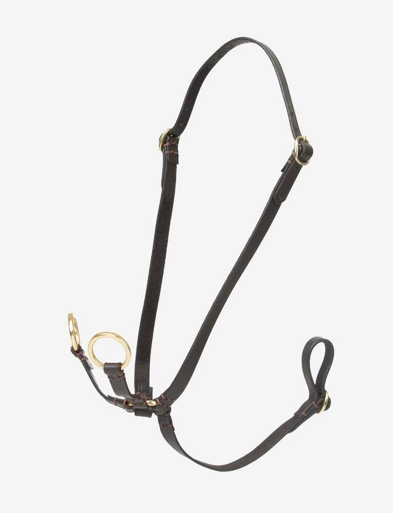 LEMIEUX Hobby Horse Running Martingale