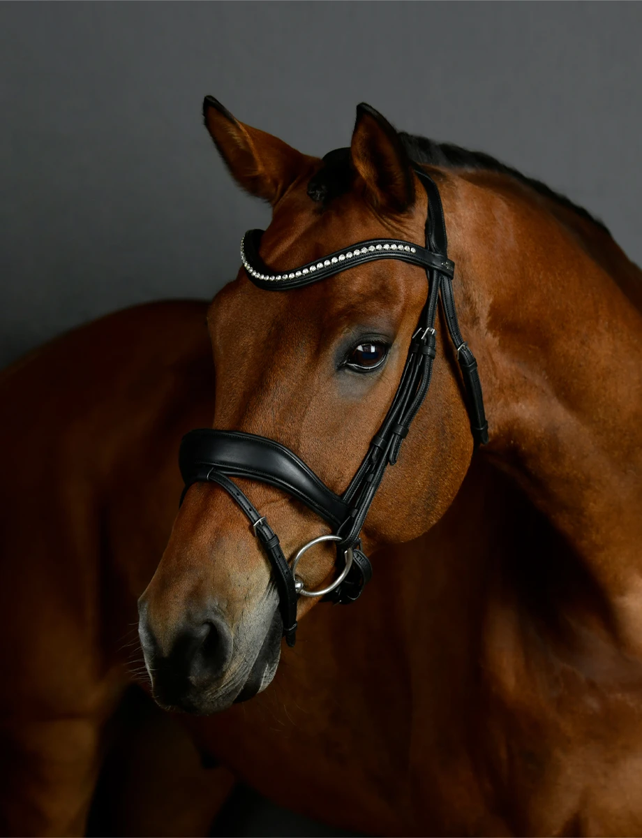 COLLEGIATE ComFiTec Opulux Padded Dressage Bridle