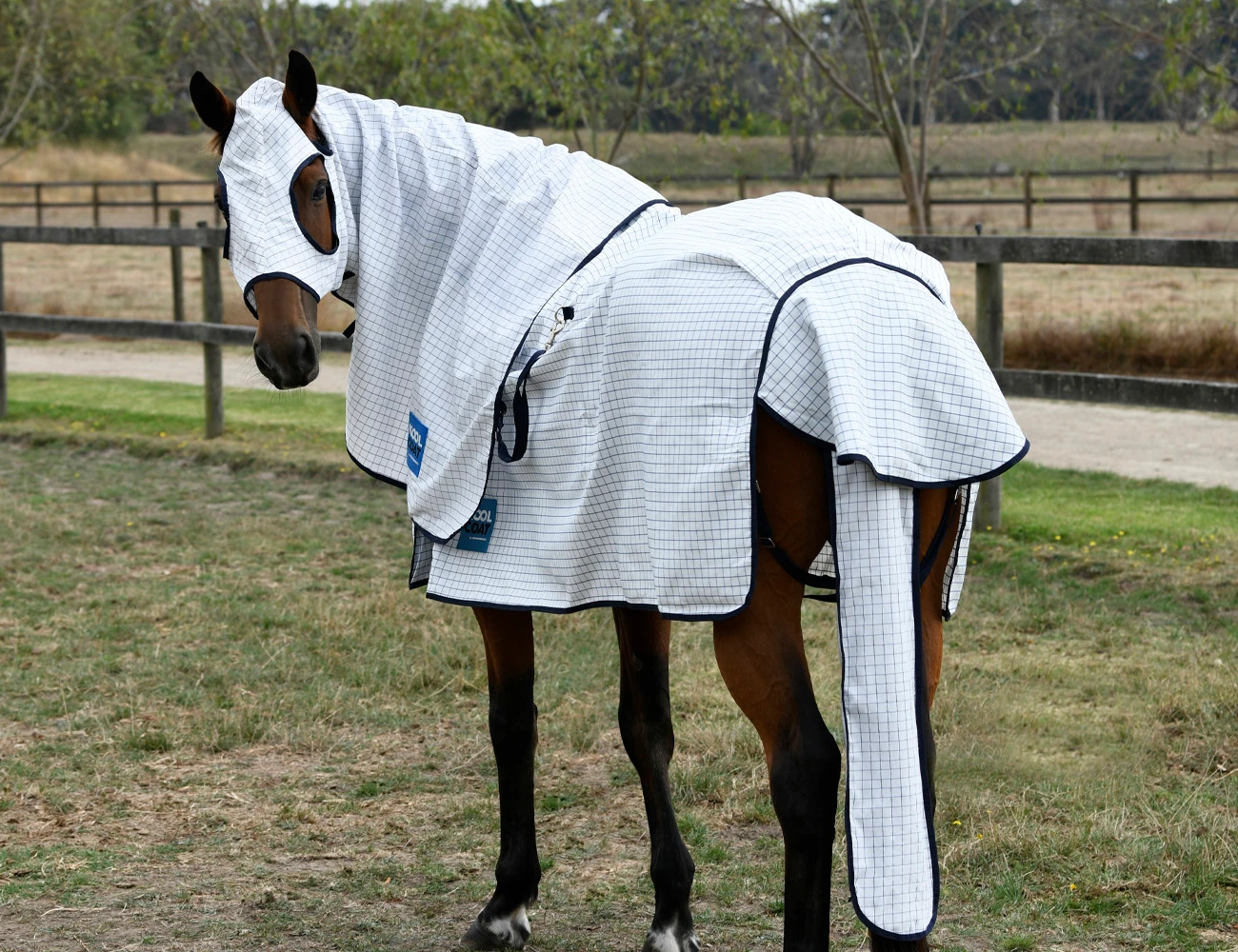 KOOL COAT Classic Hood