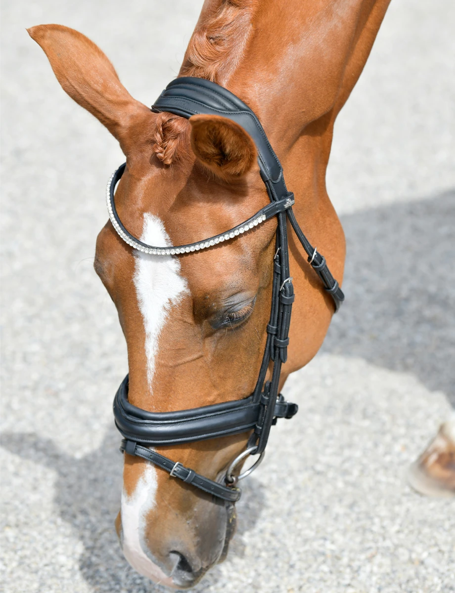 COLLEGIATE ComFiTec Opulux Raised Dressage Bridle