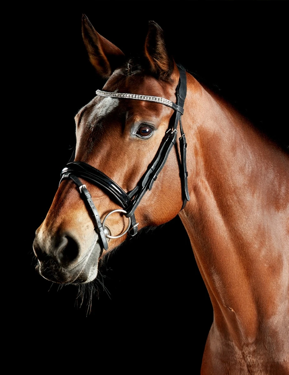 COLLEGIATE ComFiTec Luna Bridle