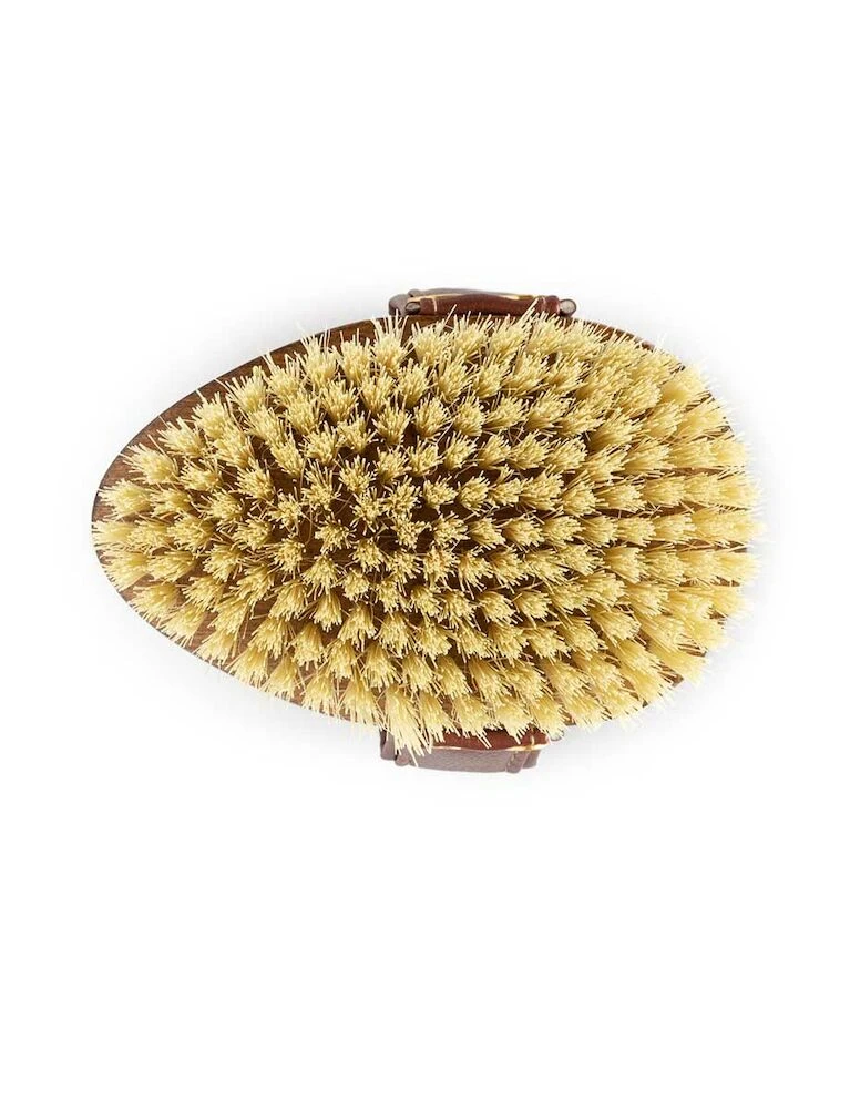 HAIRY PONY Mud Brush