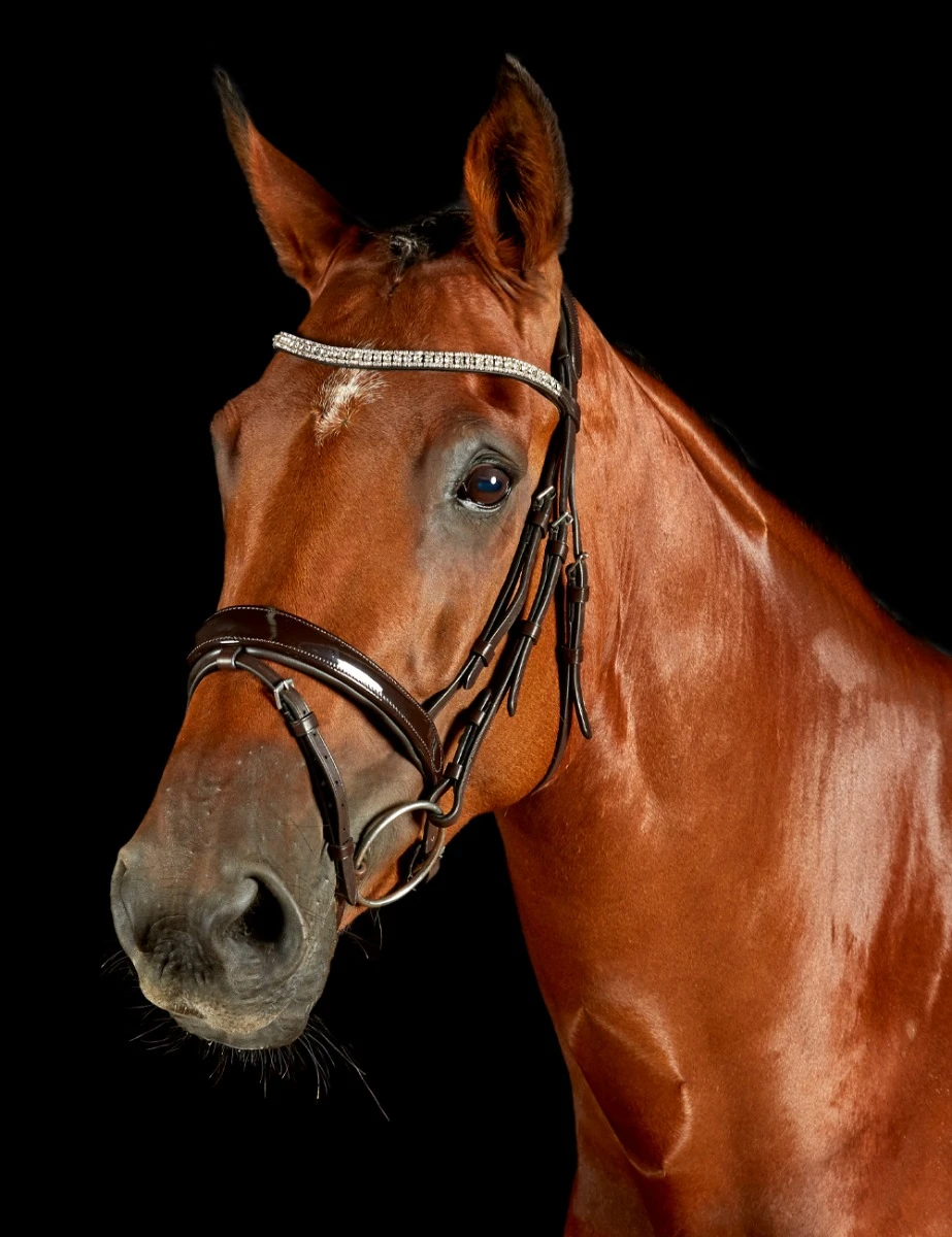 COLLEGIATE ComFiTec Luna Bridle