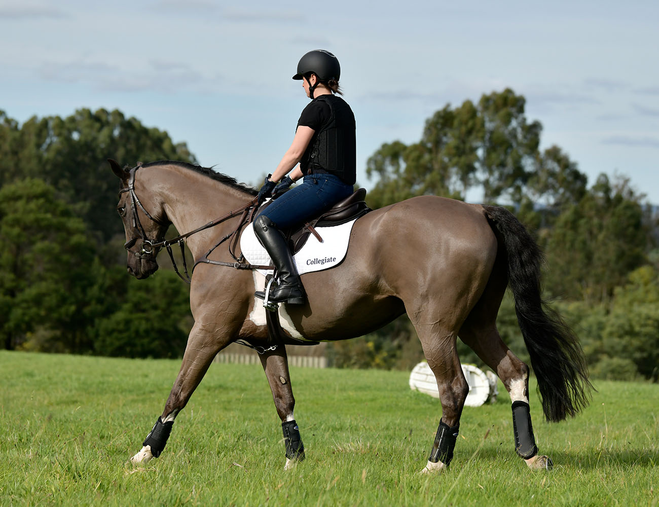 COLLEGIATE Distinction Mono Event Saddle