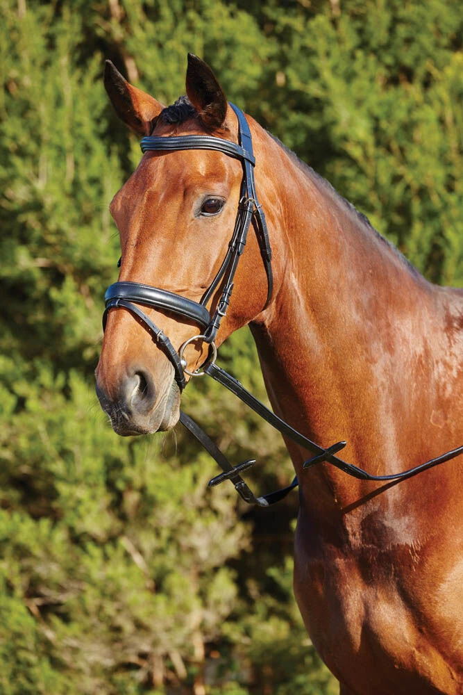 KINCADE Soft Padded Headpiece Flash Bridle