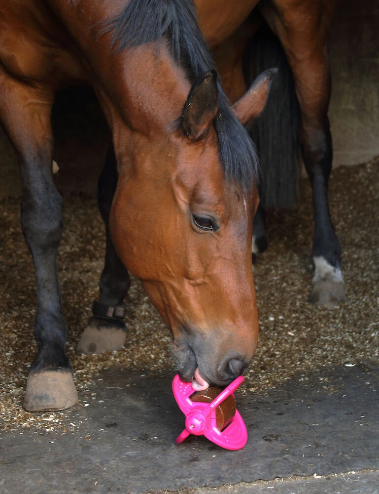 LIKIT Bizzy Horse Toy