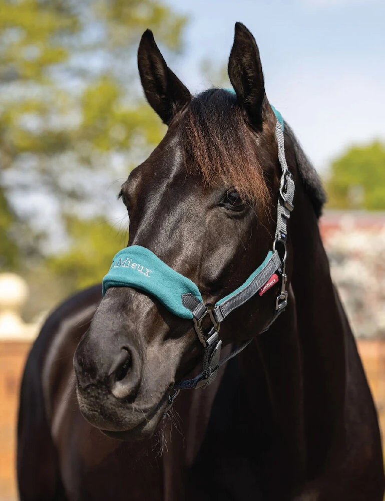 LEMIEUX Lemieux Vogue Fleece Headcollar And Lead Rope