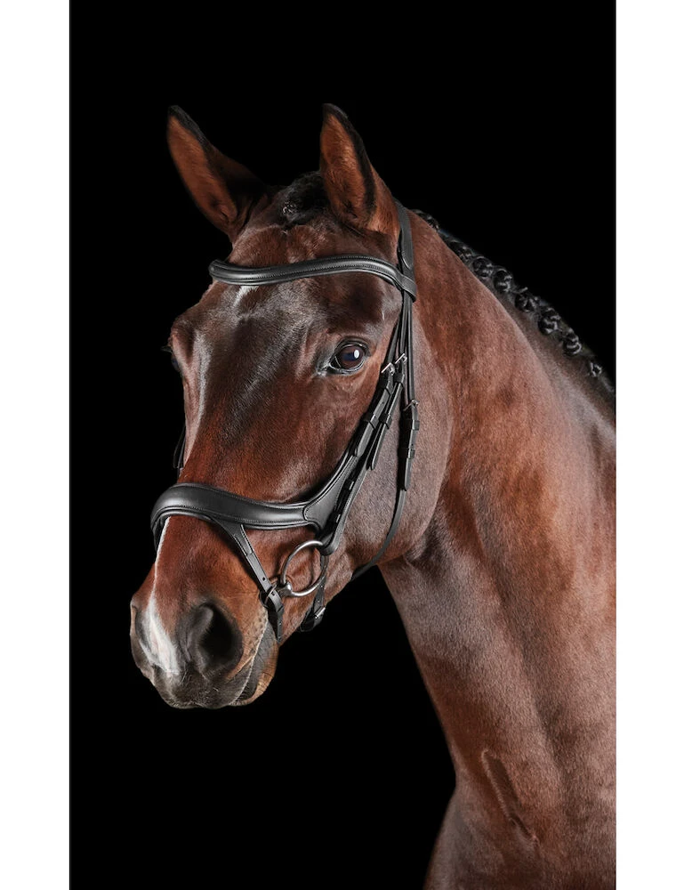 COLLEGIATE ComFiTec Vogue Anatomical Bridle