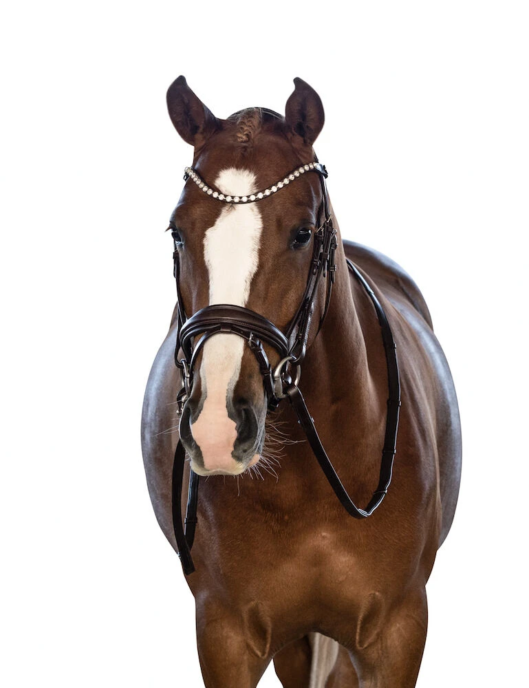 LARA TWEEDIE Essential Pony Bridle With Flash