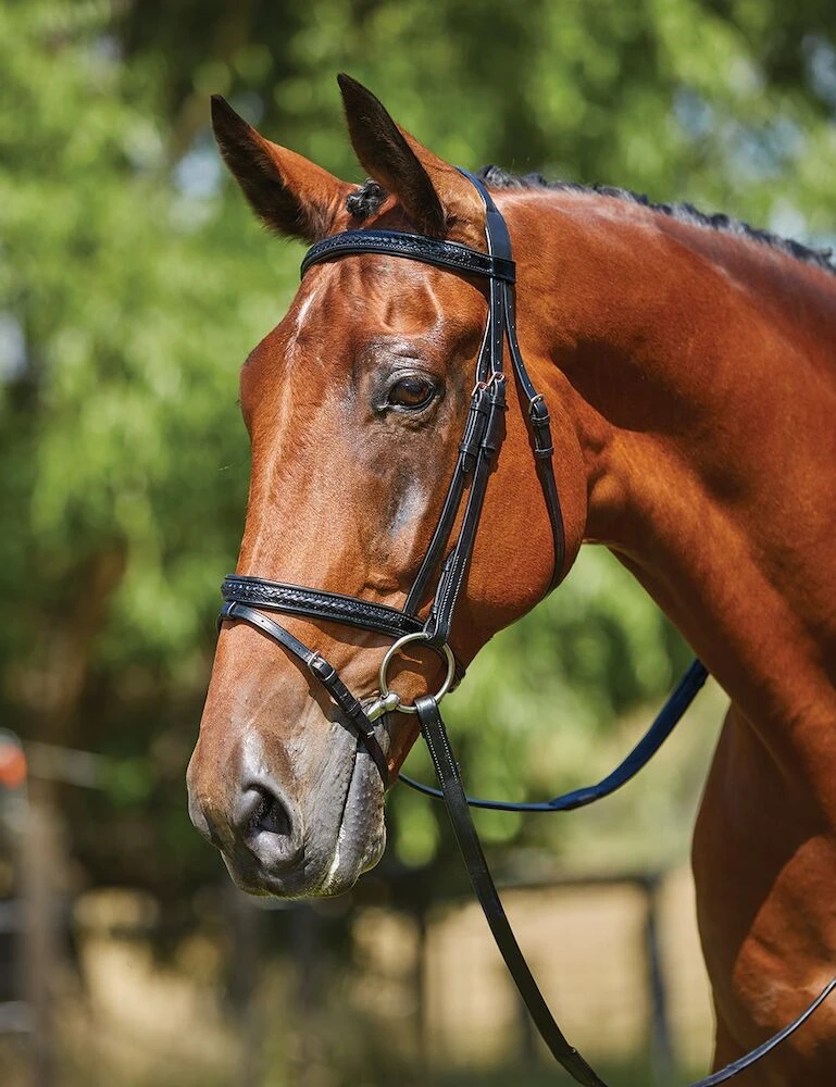 KINCADE Plaited Patent Bridle