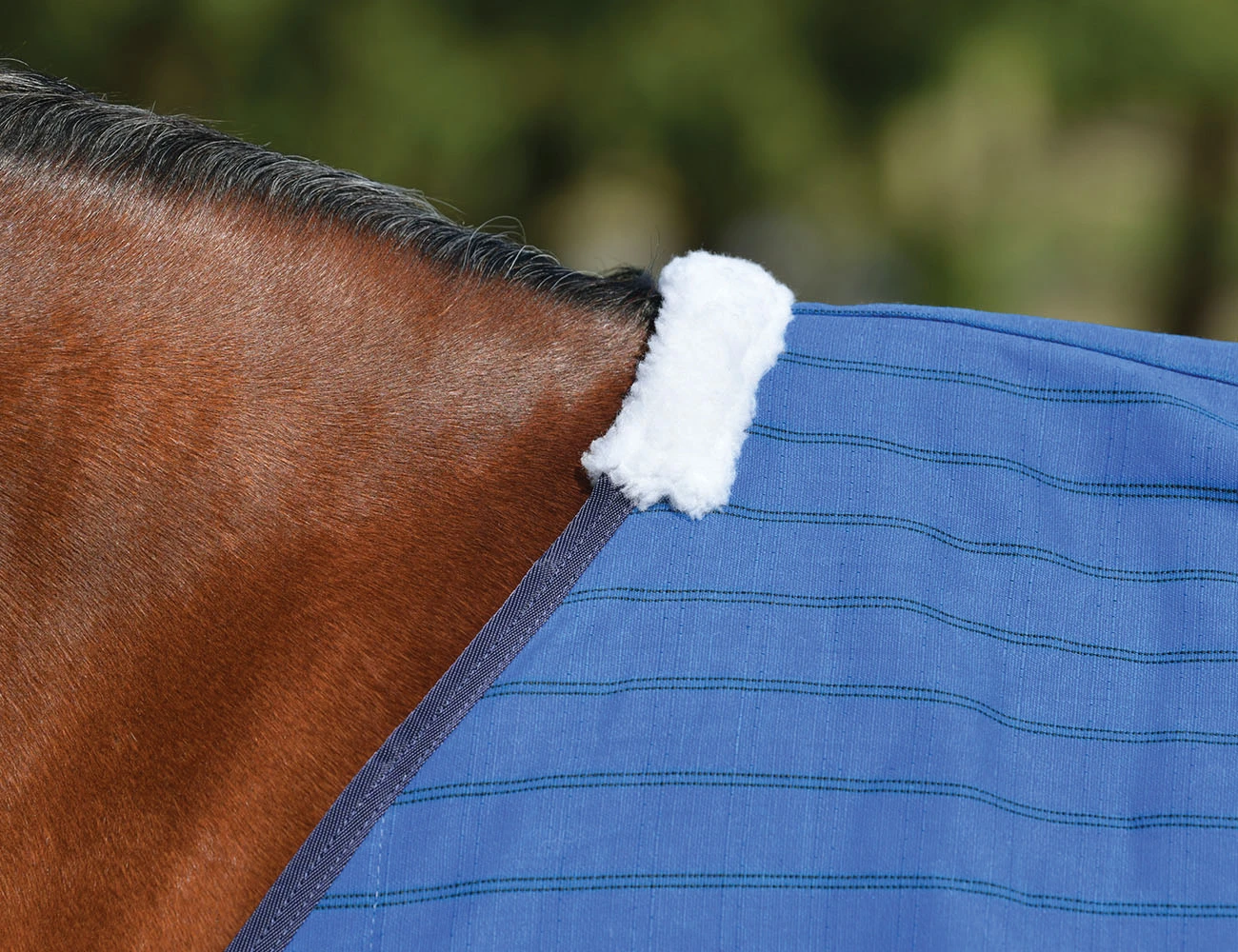 WEATHERBEETA Lined Canvas Standard Neck