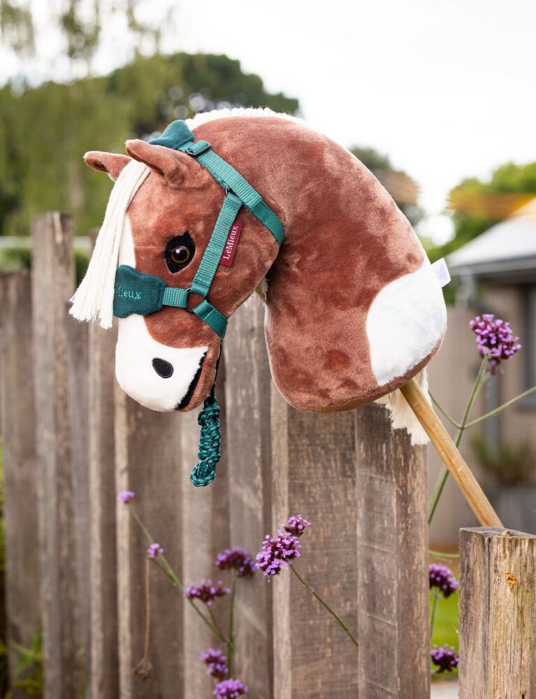 LEMIEUX Hobby Horse Flash