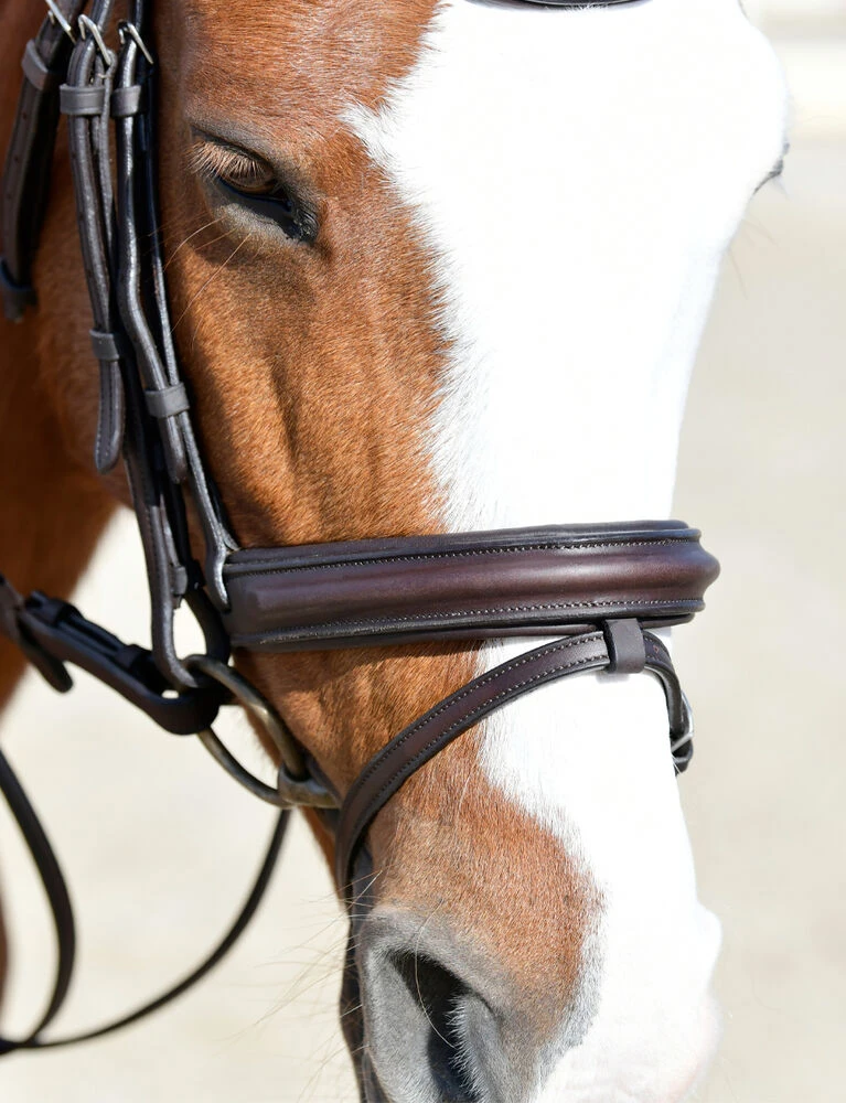 COLLEGIATE ComFiTec Opulux Plain Padded Hanoverian Flash Bridle