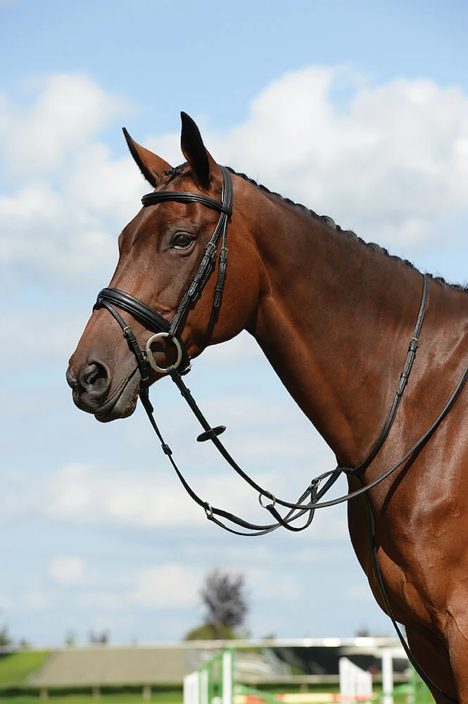 COLLEGIATE Syntovia+ Plain Flat Running Martingale