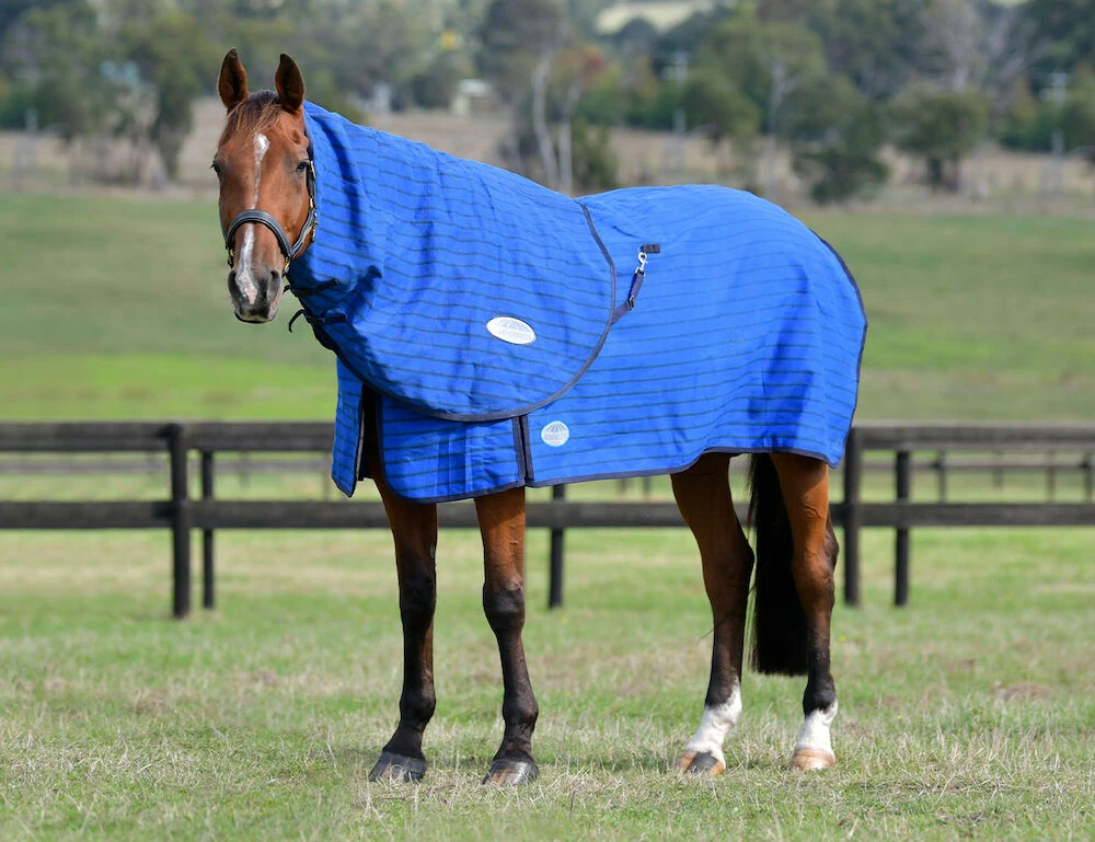 WEATHERBEETA Lined Canvas Neck Rug