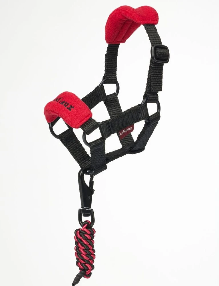LEMIEUX Toy Pony Headcollar
