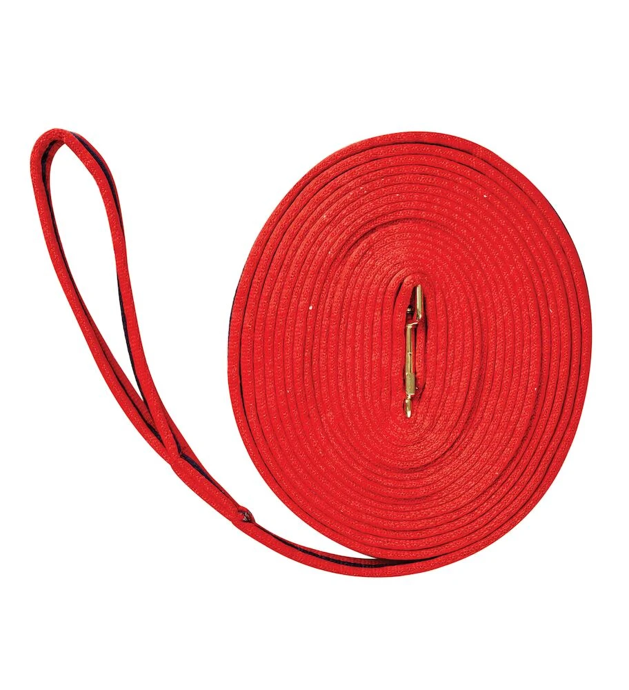 KINCADE Two Tone Padded Lunging Rein