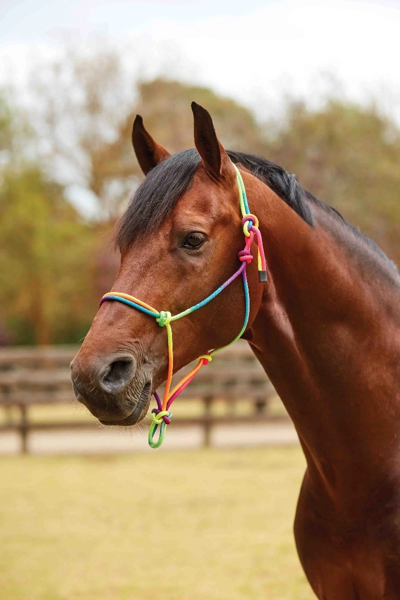 ROMA RAINBOW ROPE HEADCOLLAR