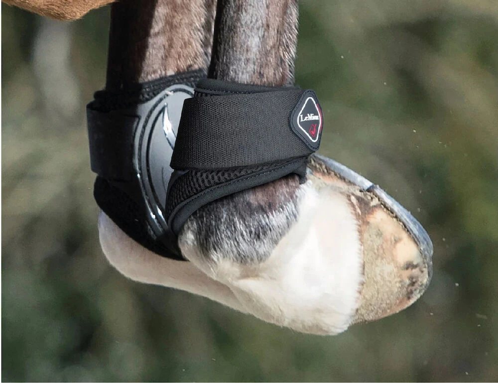 LEMIEUX Lemieux Derby Projump Fetlock Boot