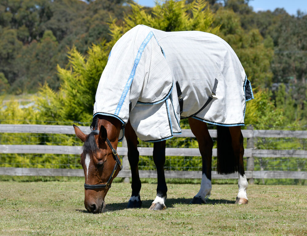 WEATHERBEETA Cotton Summer Sheet Combo Neck