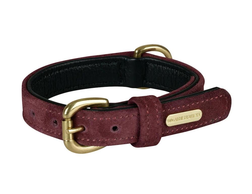 WEATHERBEETA Suede Dog Collar