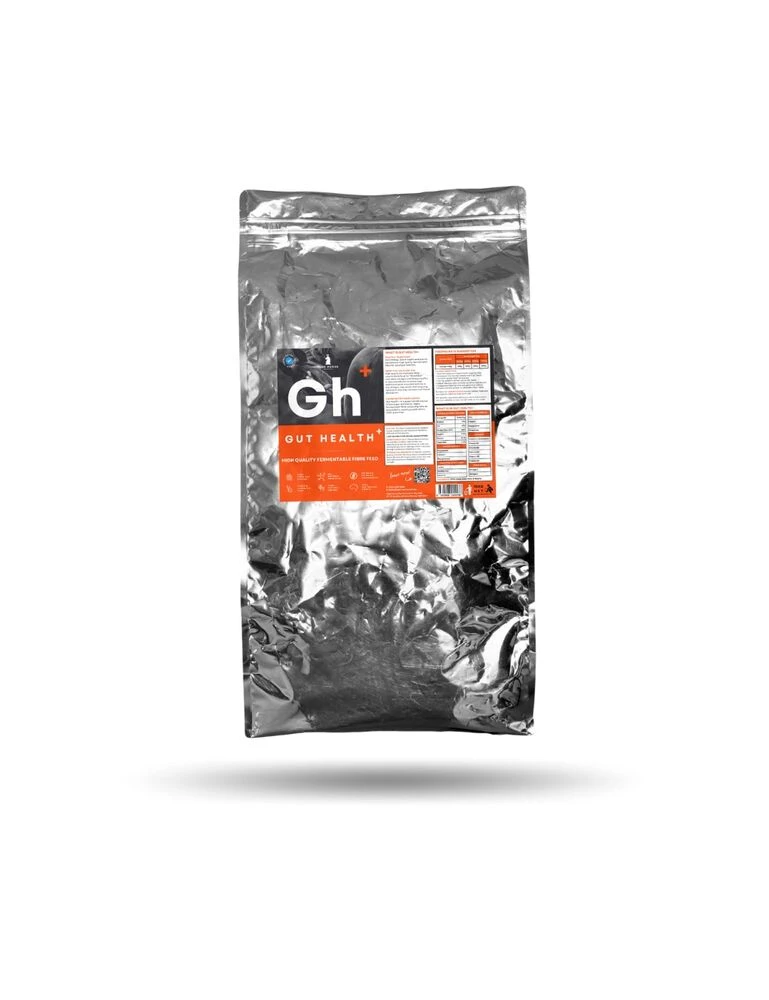 HIGH HORSE PERFORMANCE Gut Health+