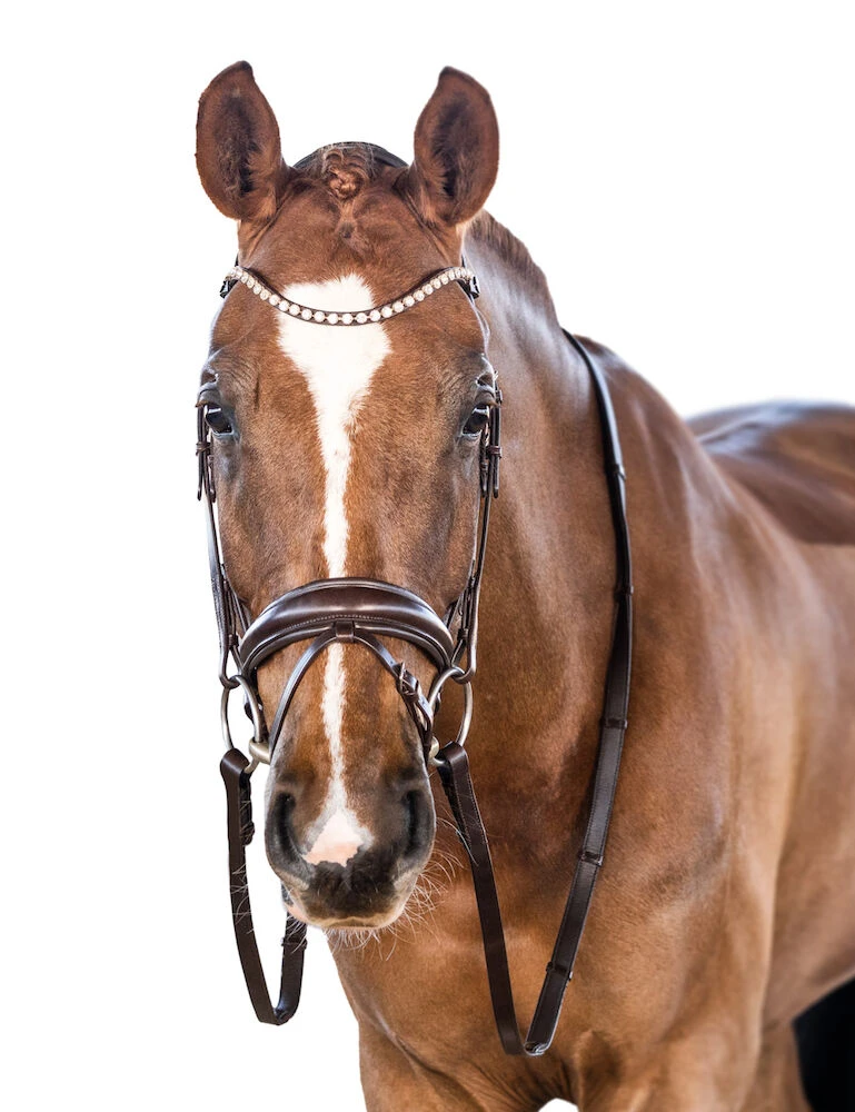 LARA TWEEDIE Essential Snaffle Bridle With Flash