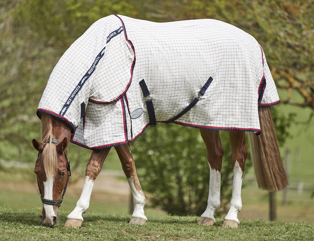 WEATHERBEETA Lite Summer Sheet Combo Neck