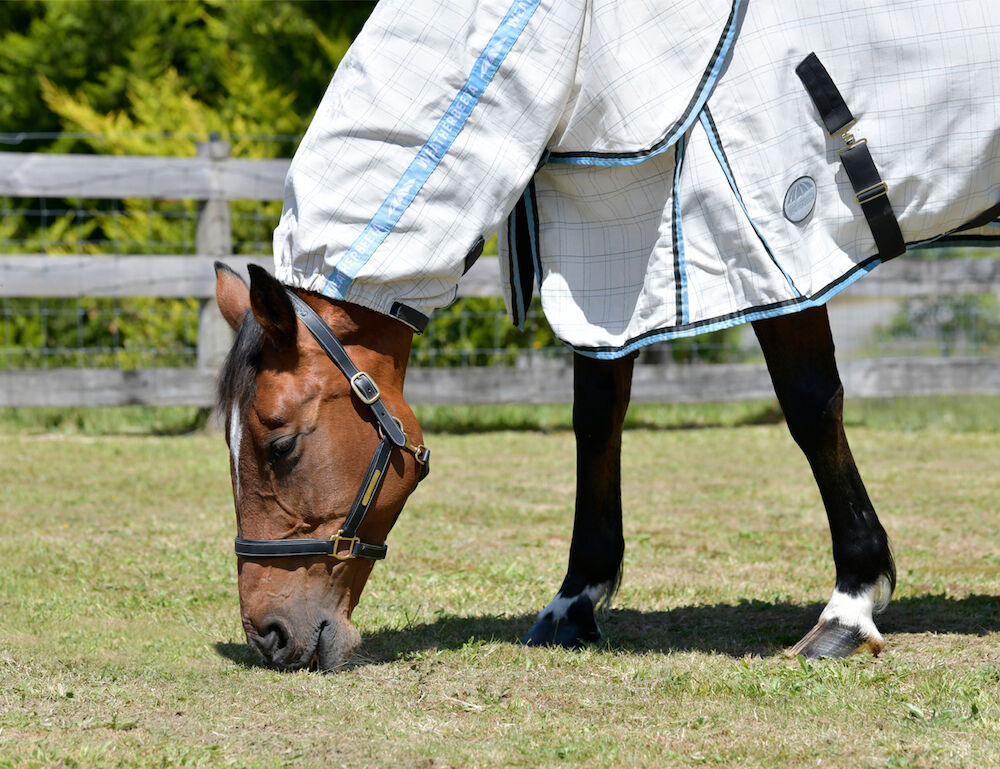WEATHERBEETA Cotton Summer Sheet Combo Neck Scrunch Neck