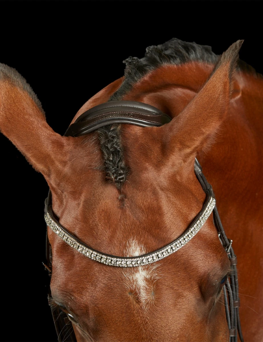 COLLEGIATE ComFiTec Luna Bridle