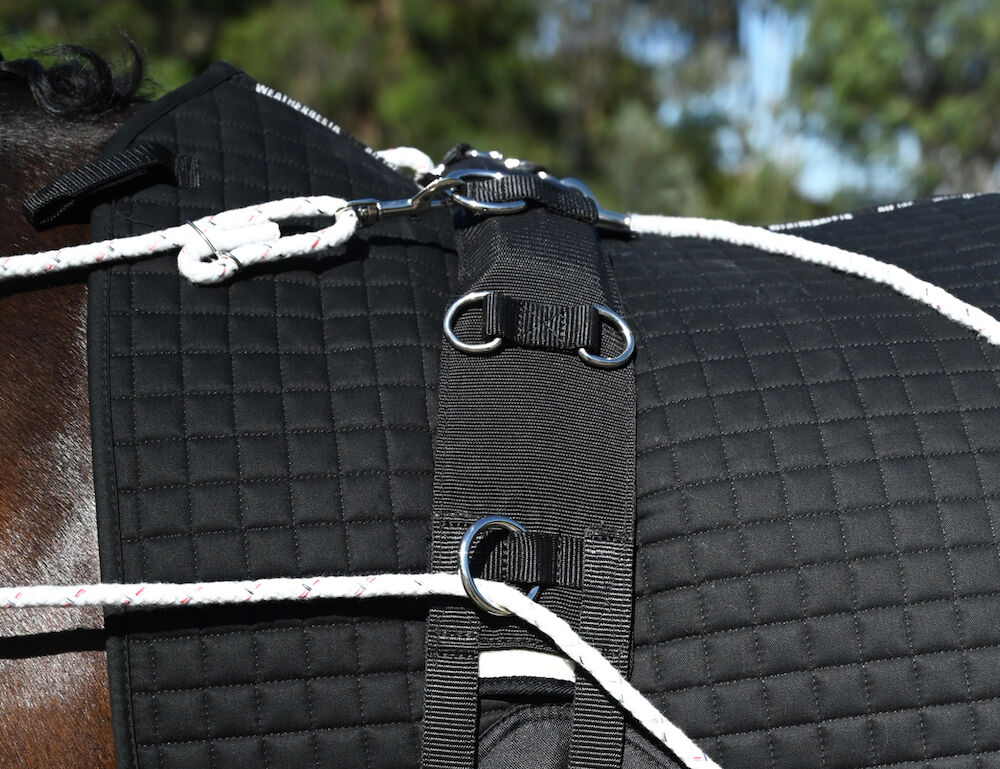 KINCADE Lunge Roller With Fleece Padding