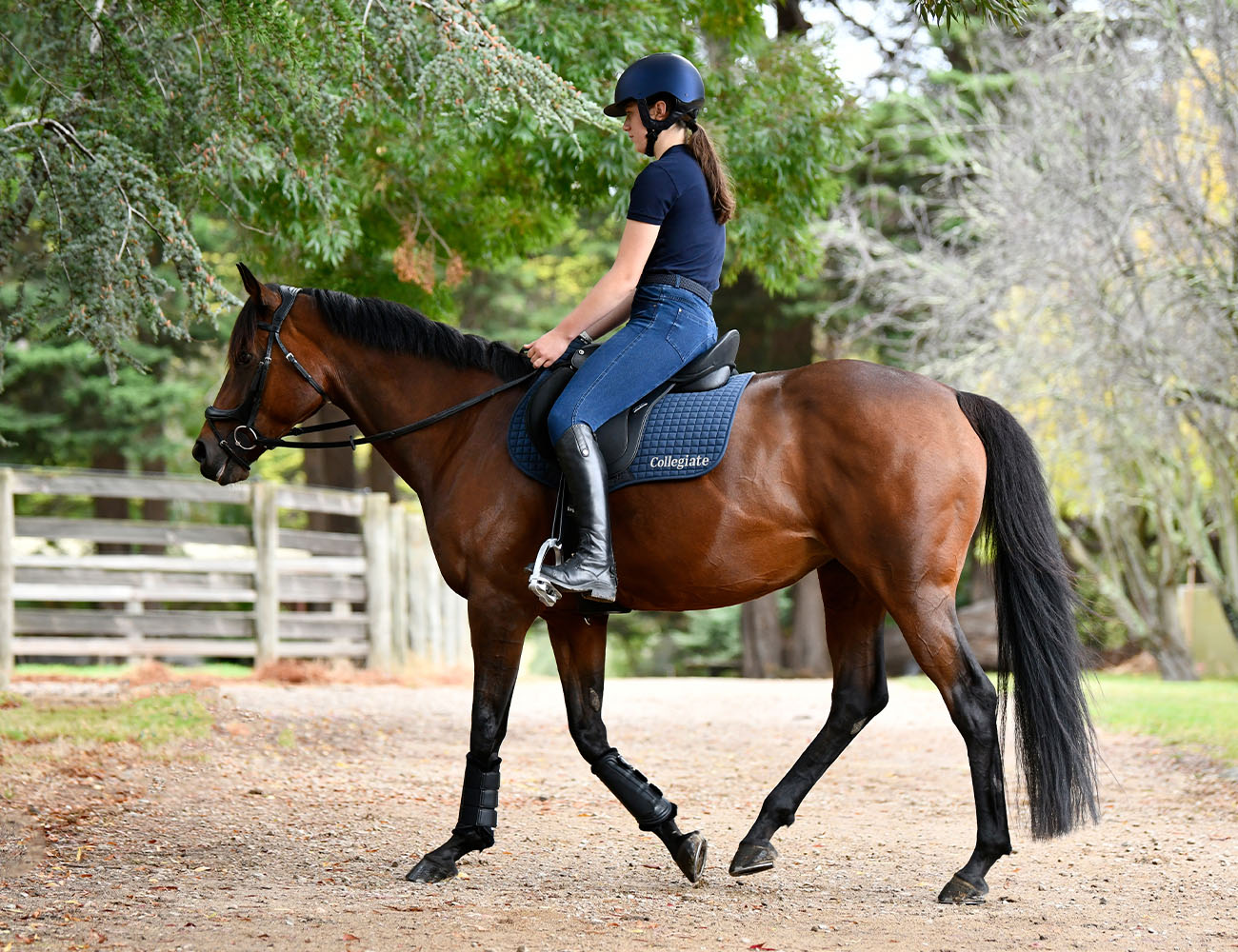 COLLEGIATE Syntovia+ Burgham All Purpose Saddle