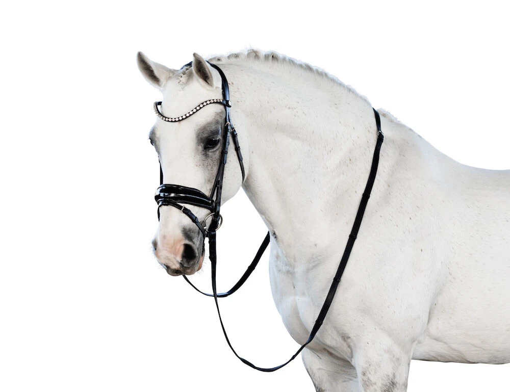 LARA TWEEDIE Glam Snaffle Bridle With Flash