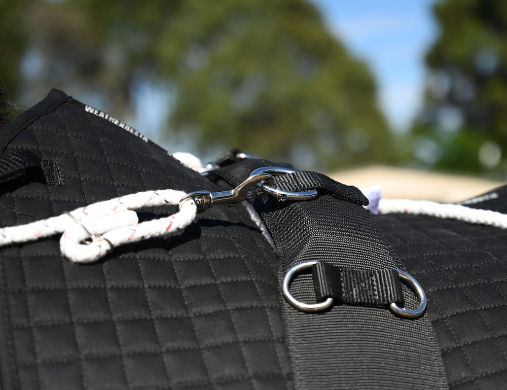 KINCADE Lunge Roller With Fleece Padding