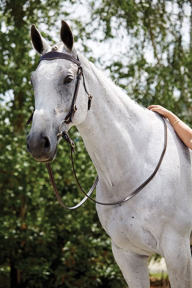 KINCADE 3/4 Stitched Stockmans Barcoo Bridle