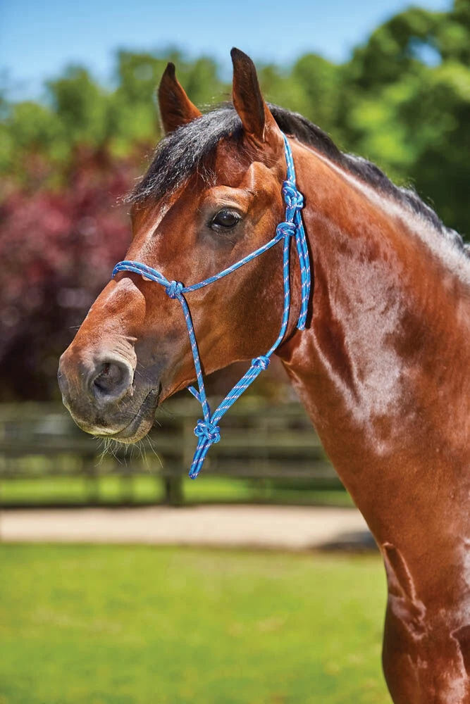 ROMA Two Toned Rope Yachting Headcollar