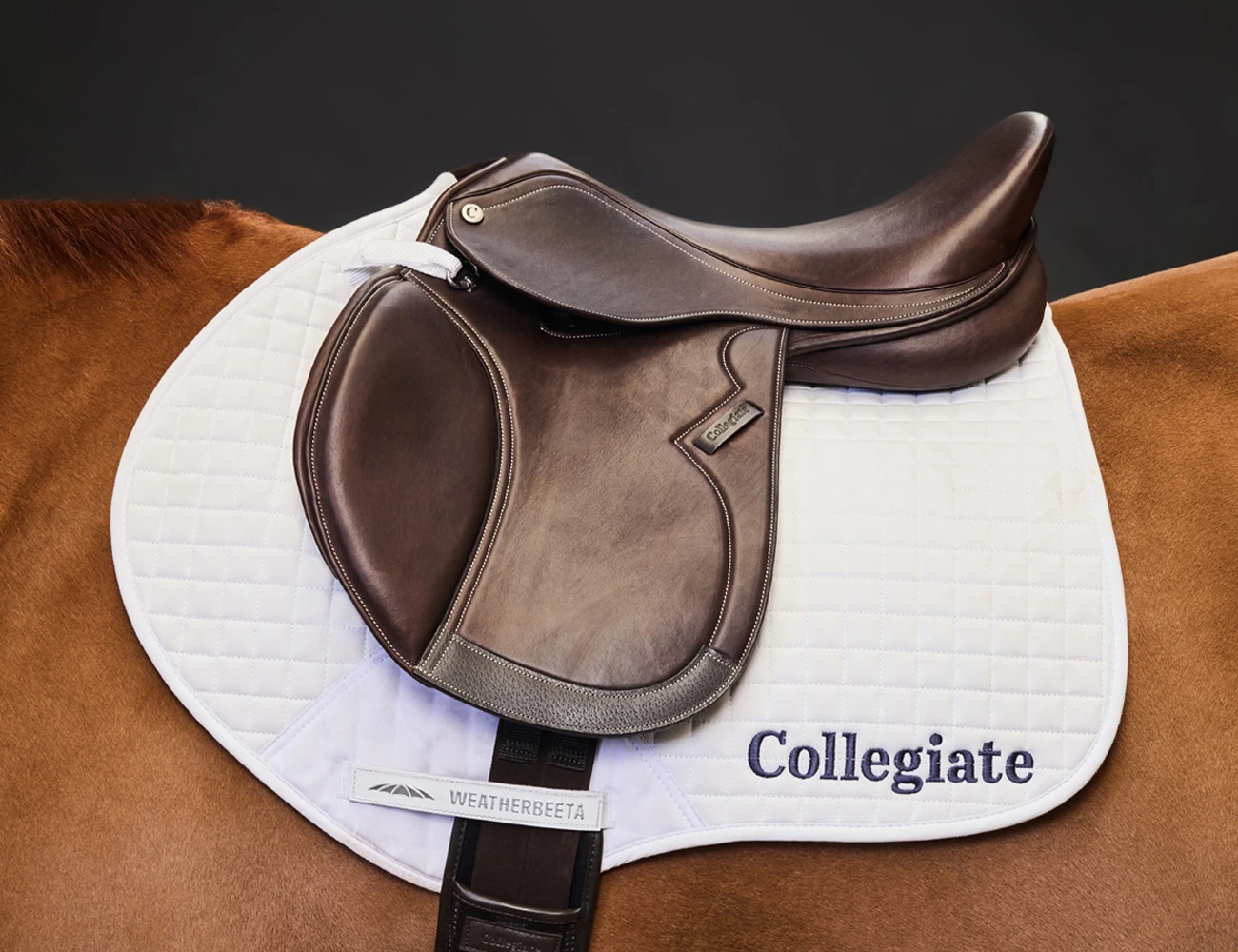 COLLEGIATE Astute Close Contact Saddle