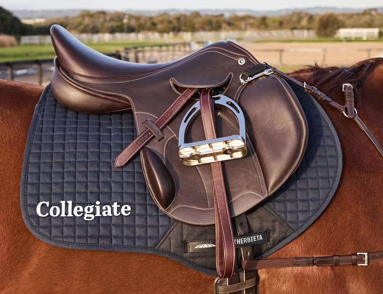 COLLEGIATE Distinction Mono Event Saddle