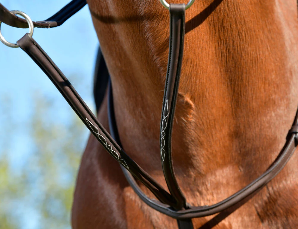 COLLEGIATE ComFiTec Opulux Fancy Raised Running Martingale