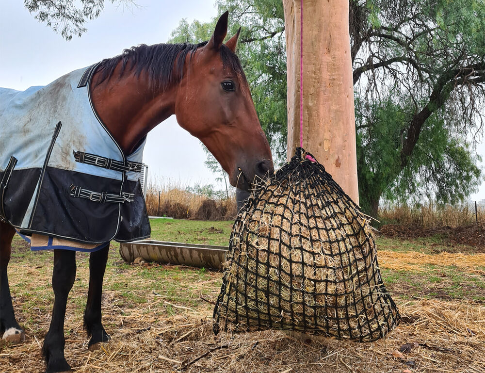 GUTZBUSTA Deluxe 5MM Knotless Slow Feed Hay Net