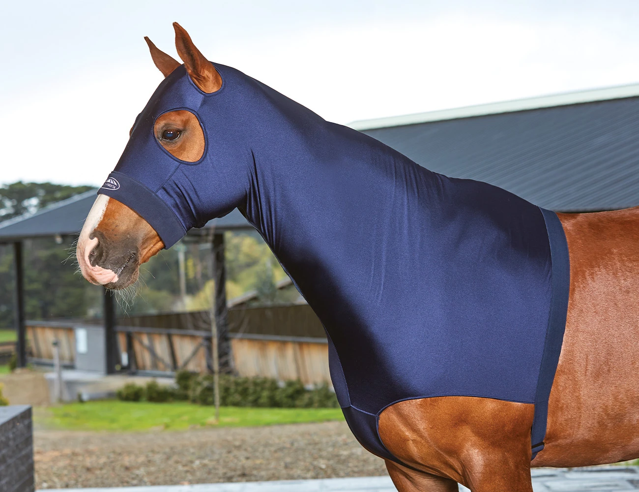 WEATHERBEETA Deluxe Stretch Hood