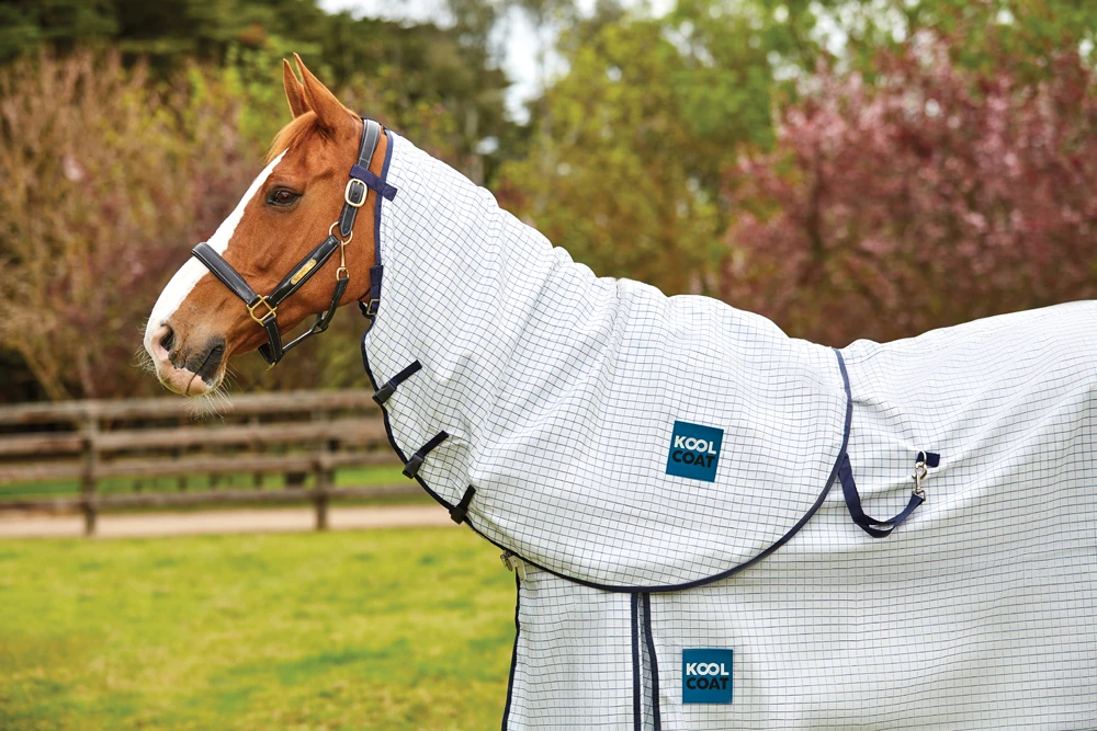 KOOL COAT Classic Neck Rug