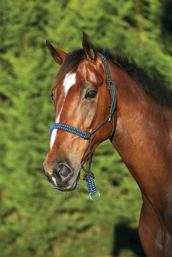 SAXON Cord Rope Headcollar