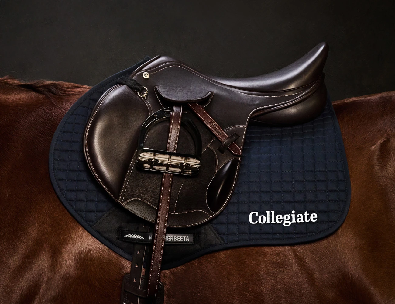 COLLEGIATE Distinction Mono Event Saddle