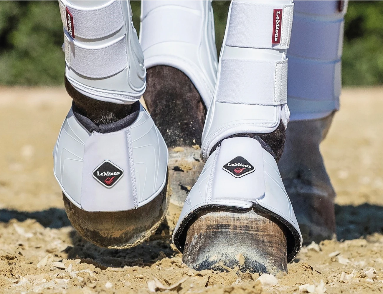 LEMIEUX Lemieux Proshell Brushing Boots