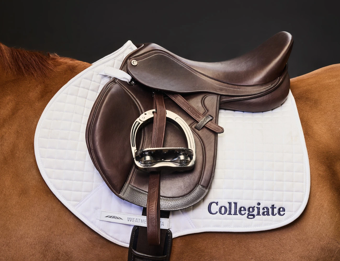 COLLEGIATE Astute Close Contact Saddle