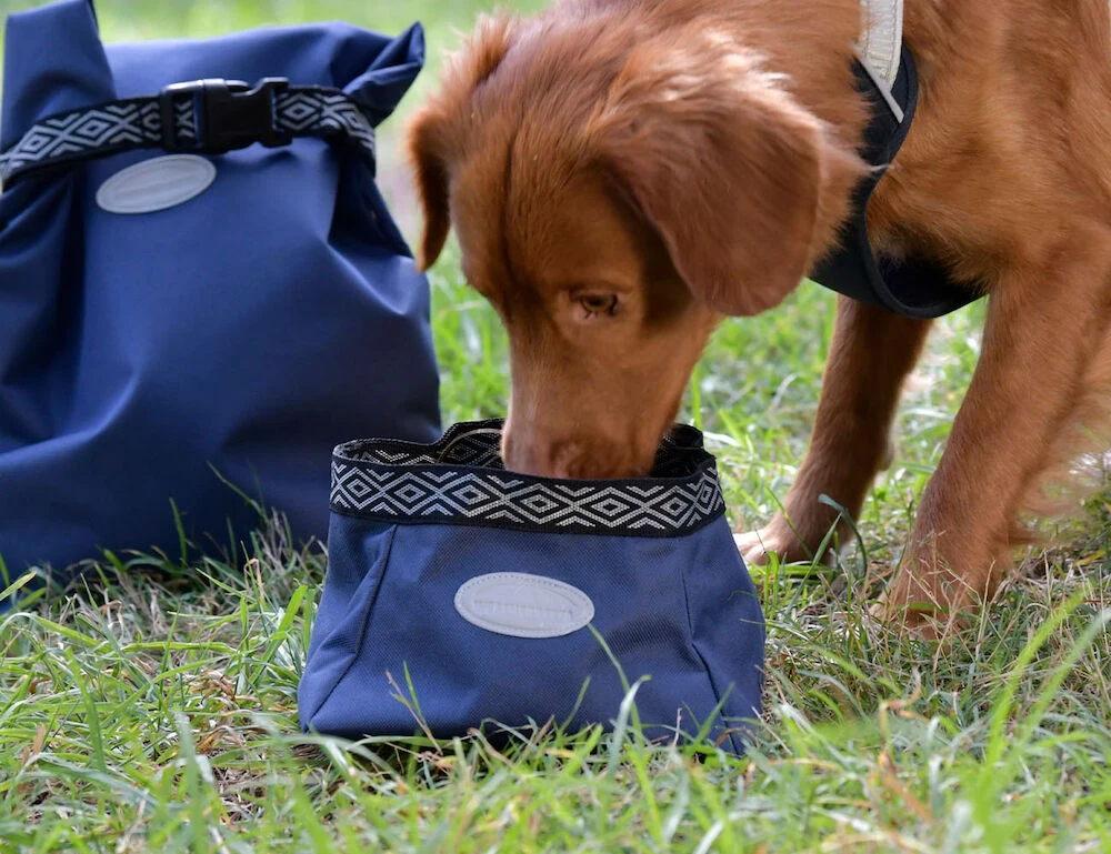 WEATHERBEETA Explorer Dog Water/Feed Bowl