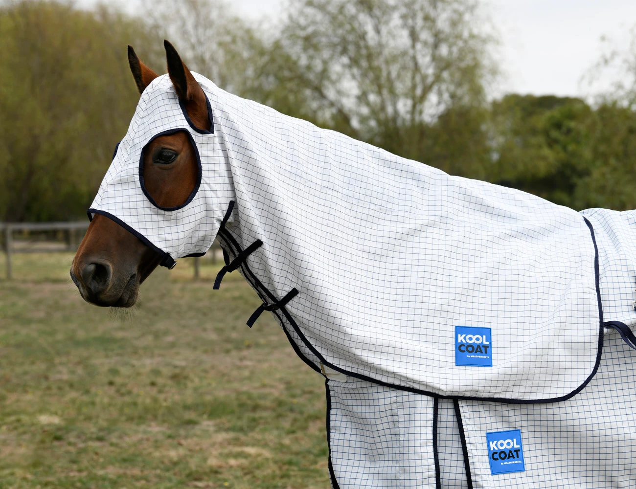 KOOL COAT Classic Hood